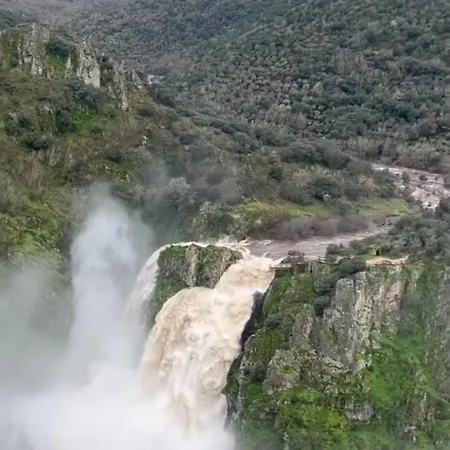 El Montaraz De *