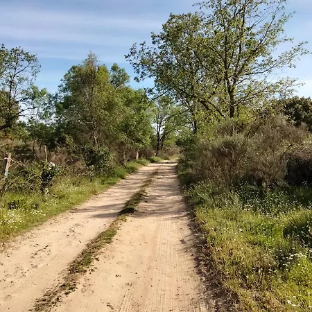 Holiday home El Montaraz De Gema