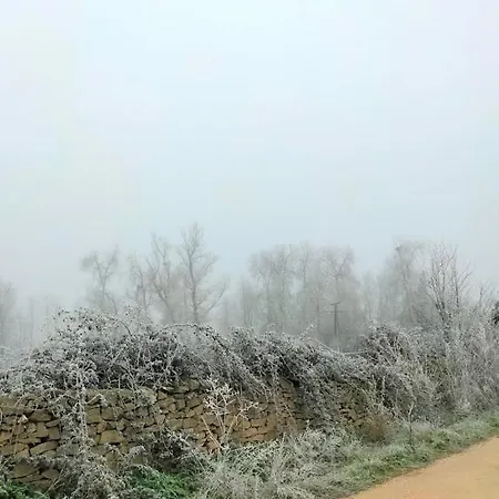 Holiday home El Montaraz De *