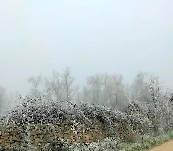 度假居 El Montaraz De *